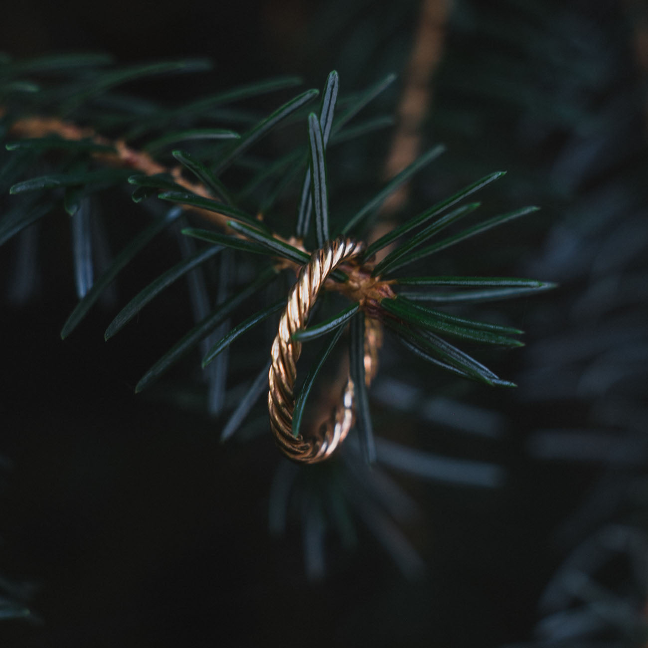 Koperen tensorring in goudkleur - Beschermende amulet