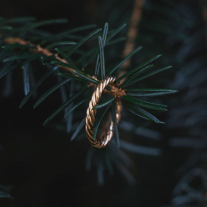 Zilveren tensorring verguld met goud - Beschermend amulet