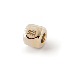 Charms met het sterrenbeeld Waterman (♒︎) Verguld - zilver 925
